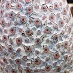 Oxford Ceramics Fair 2015, Peter Beard